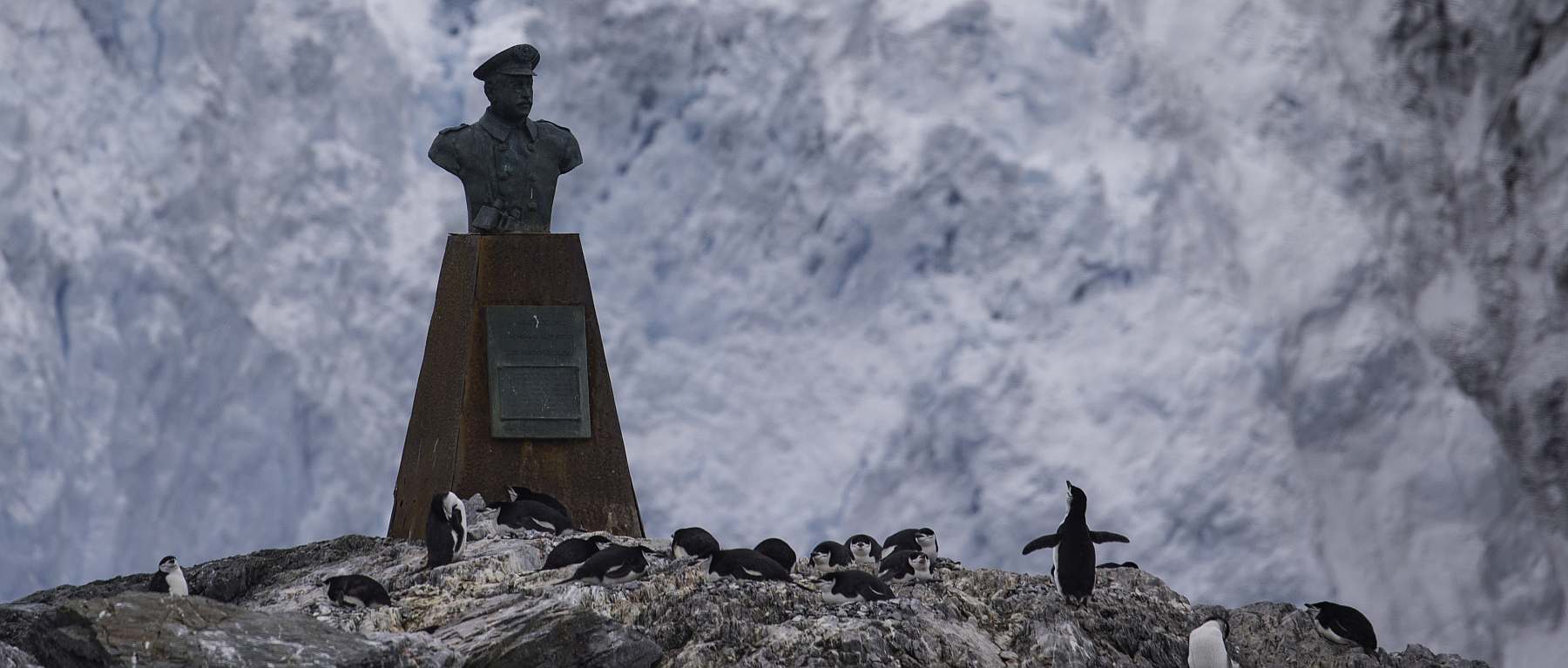 Im Reich der Pinguine: Falkland, Südgeorgien, Elephant Island & Antarktis | MS HONDIUS - Leguan Reisen
