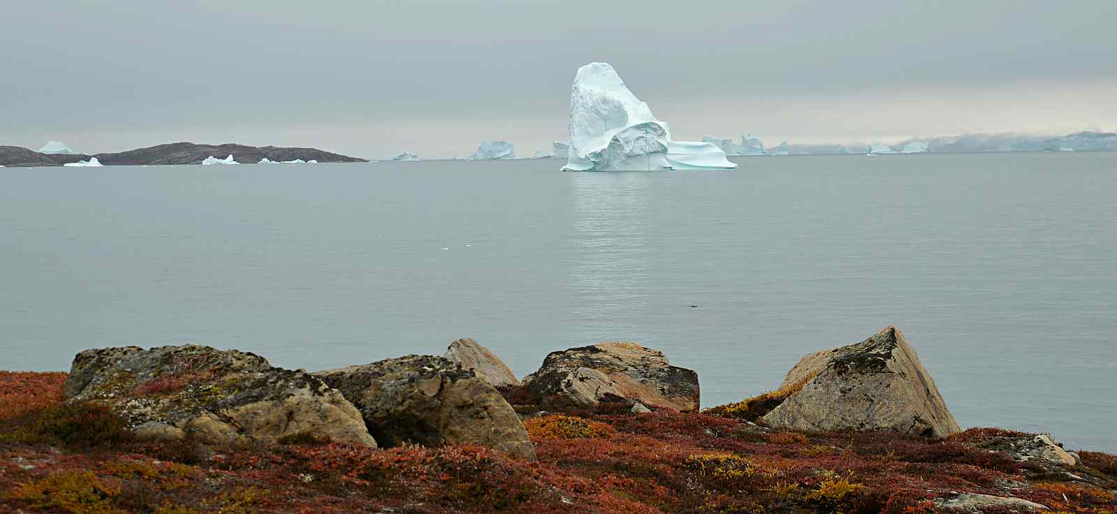 Expedition in den Scoresby Sund, inklusive langer Wanderungen | MS ORTELIUS - Leguan Reisen