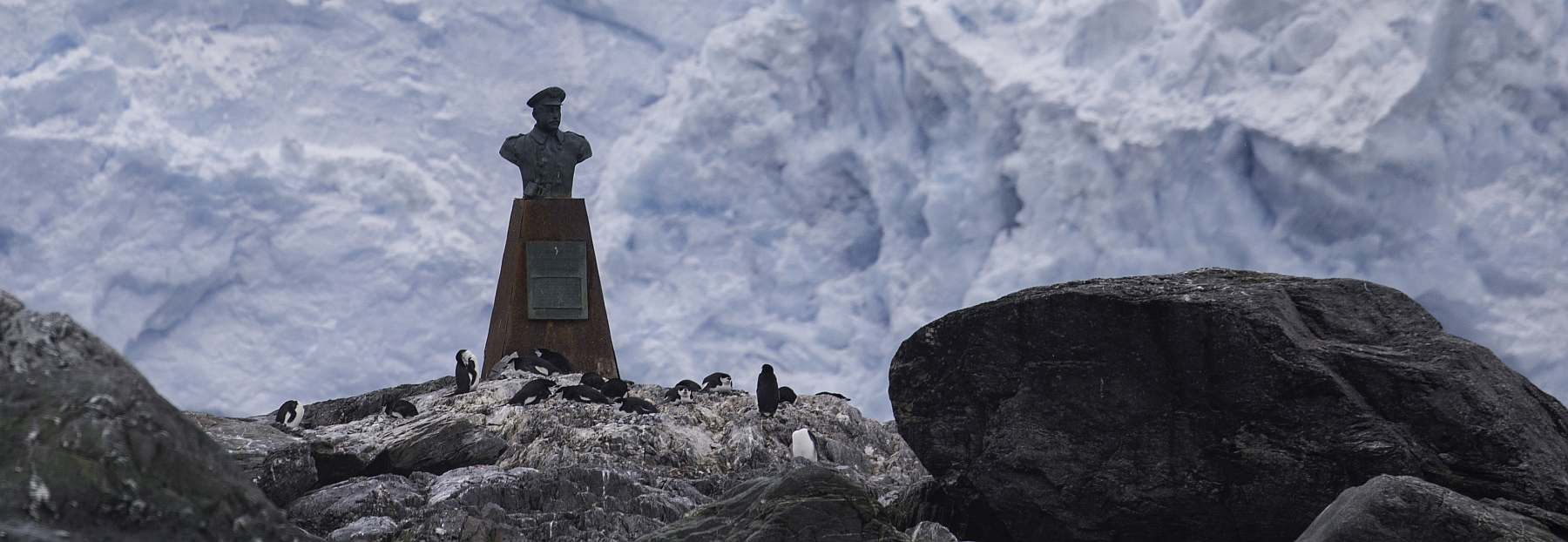 Von Südgeorgien bis Neuschwabenland: Das ultimative Antarktis-Abenteuer | MS ORTELIUS - Leguan Reisen