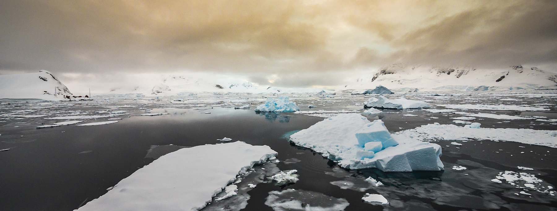 Basecamp Antarktis: Eine aktive Expedition ins Eis | MS ORTELIUS - Leguan Reisen
