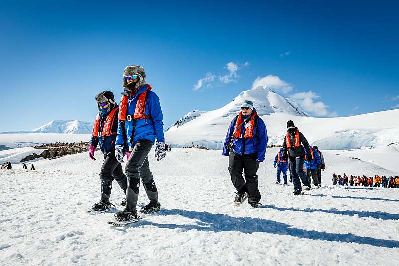 Basecamp Antarktis: Eine aktive Expedition ins Eis | MS ORTELIUS - Leguan Reisen
