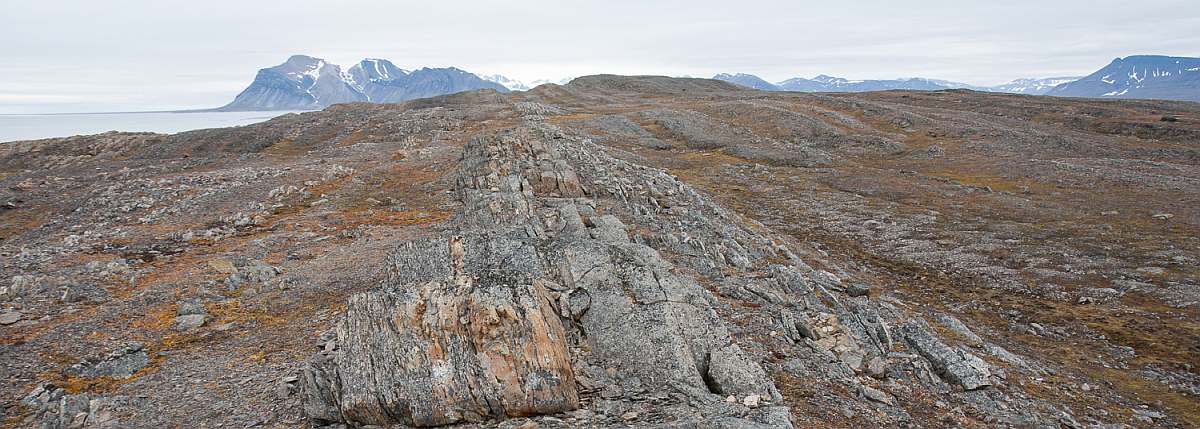 PLA-Akseløya © Troels Jacobsen - Oceanwide Expeditions_Troels Jacobsen-small