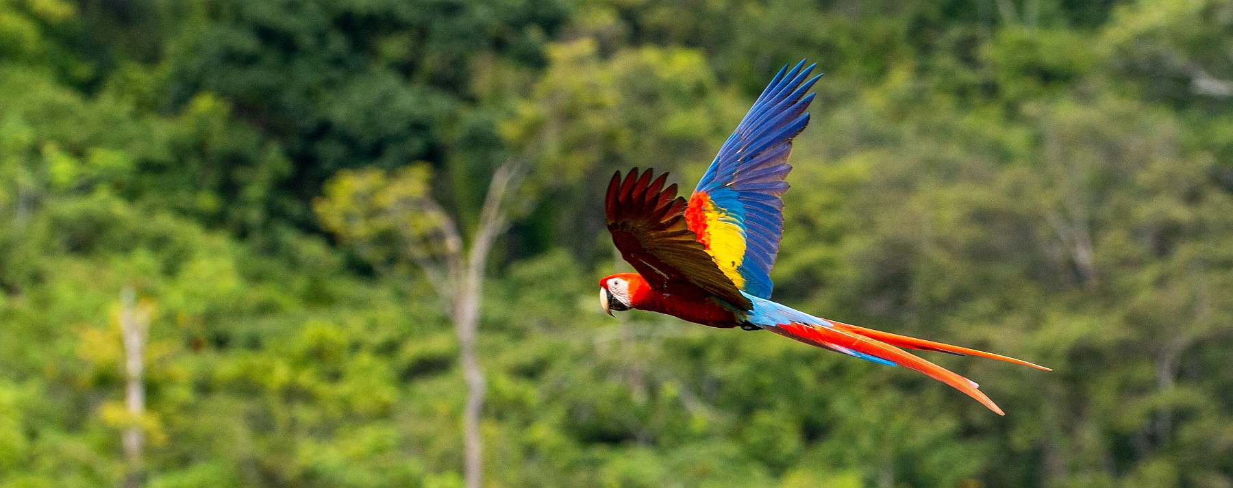 Costa Rica-shutterstock_2394495003-slider