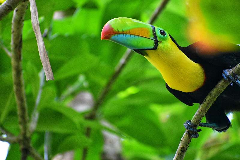 Costa Rica \