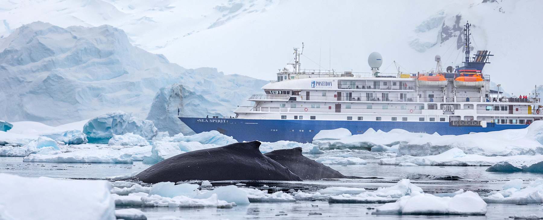 SEA SPIRIT | 114 Passagiere - Leguan Reisen