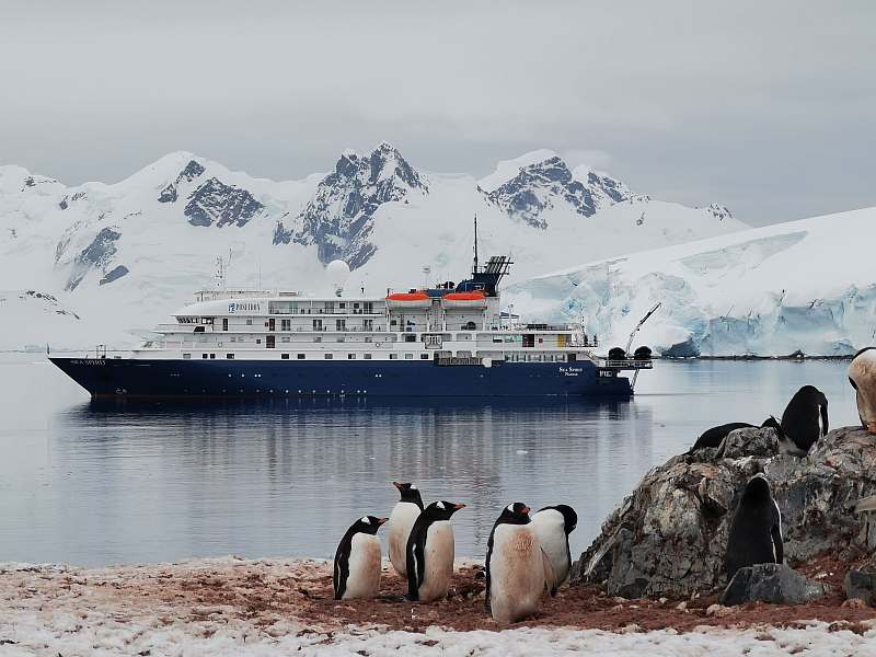 MS SEA SPIRIT | Unberührte Antarktis - Spezialreise 