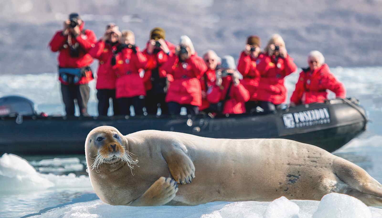 MS SEA SPIRIT | Spitzbergen & Eisgrenze - Leguan Reisen