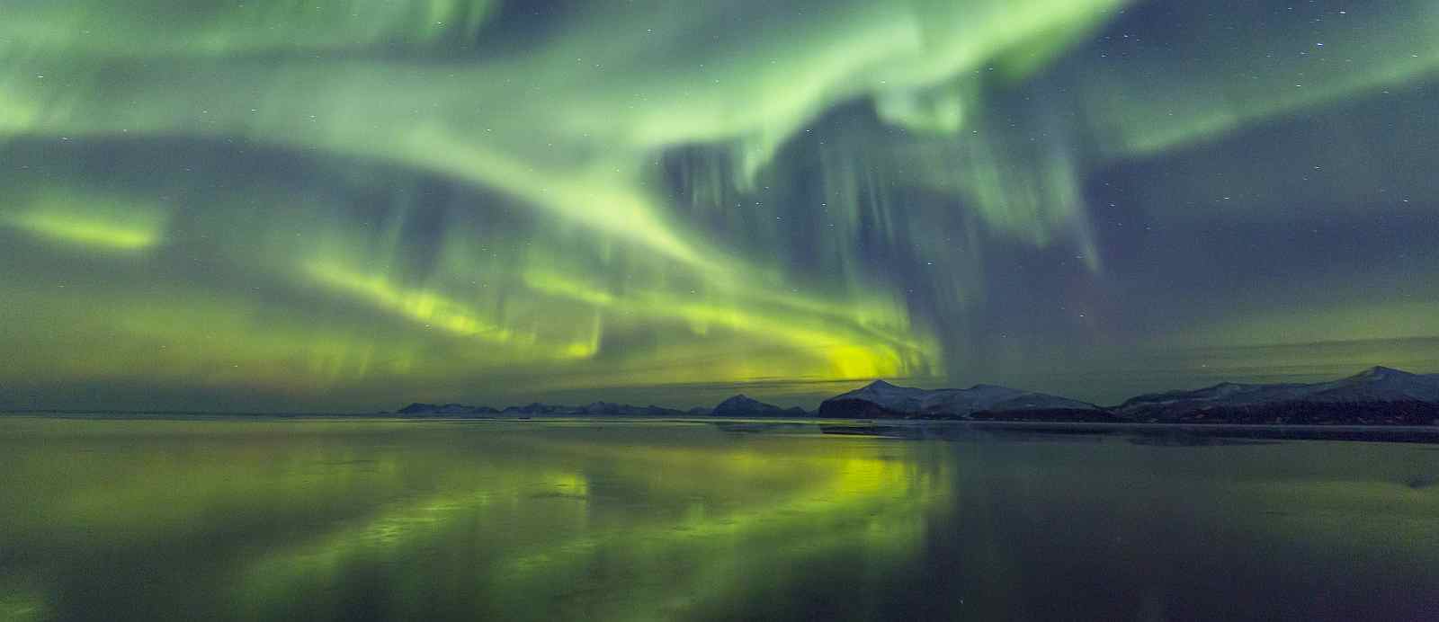 MS SEA SPIRIT | Ostgrönland - Eisberge und Nordlichter im Scoresbysund - Leguan Reisen