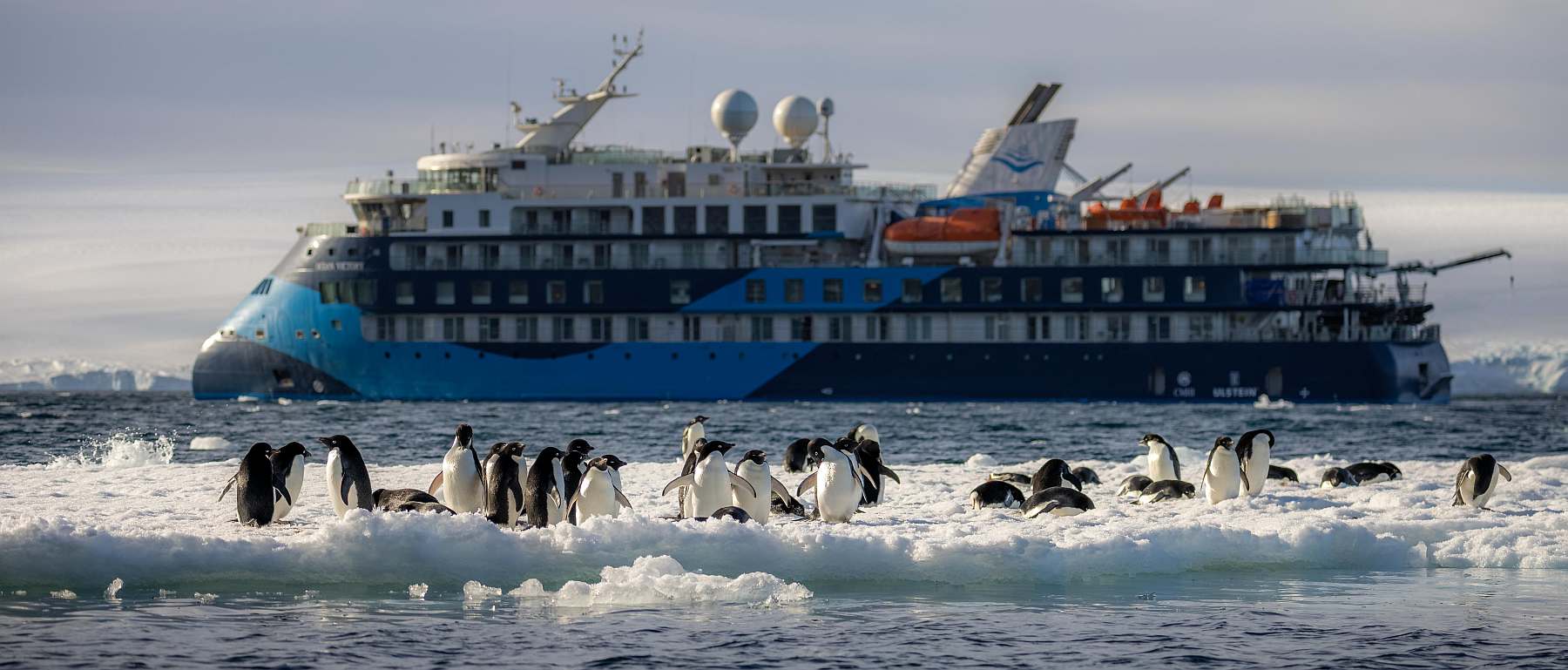 OCEAN VICTORY | 174 Passagiere - Leguan Reisen