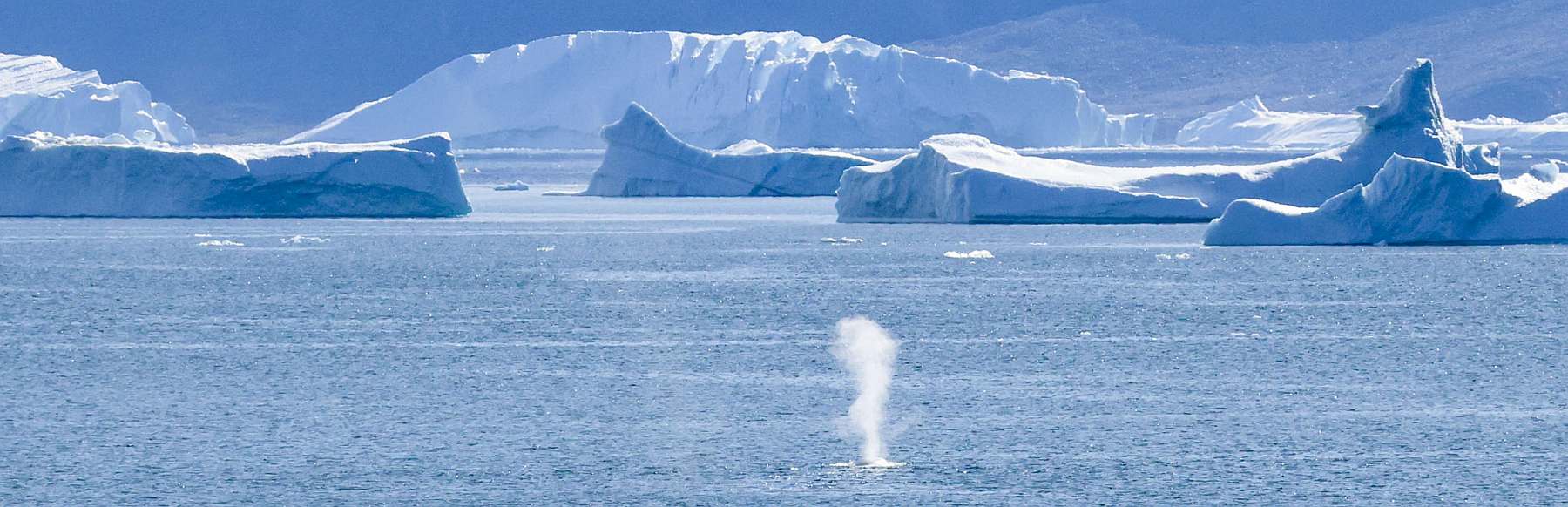 Eiswelten der Disko-Bucht und Uummannaq | OCEAN ALBATROS - Leguan Reisen