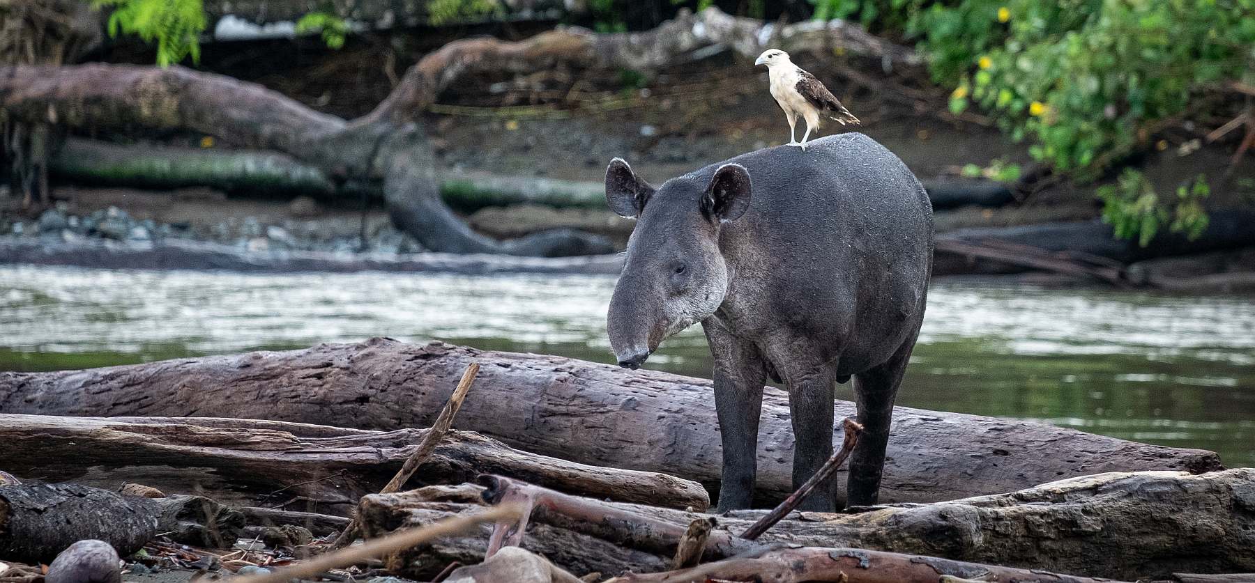 Costa Rica für Naturfreunde | Individualreise - Leguan Reisen