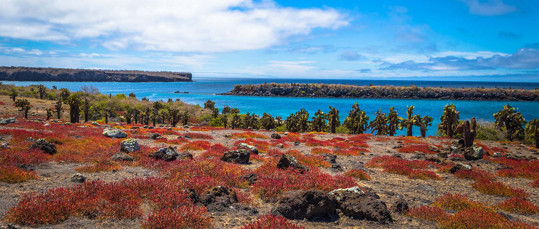 Galapagos: Zentrale, südliche und östliche Inseln | 10 Tage YOLITA - Leguan Reisen