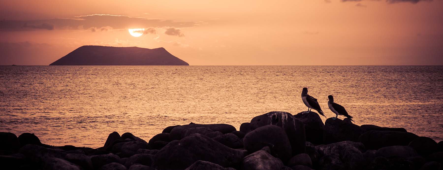 Galapagos: Zentrale, südliche und östliche Inseln | 10 Tage YOLITA - Leguan Reisen