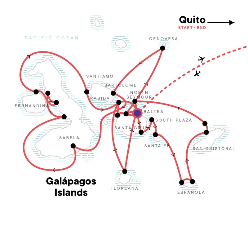 Galapagos-Inseln intensiv | 17 Tage YOLITA - Leguan Reisen