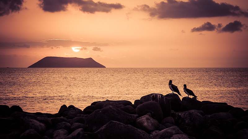 Galapagos-Inseln intensiv | 17 Tage YOLITA - Leguan Reisen