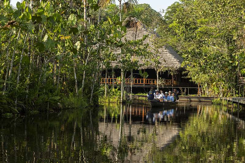 Sacha Lodge - In den Amazonas Dschungel Ecuadors - Leguan Reisen