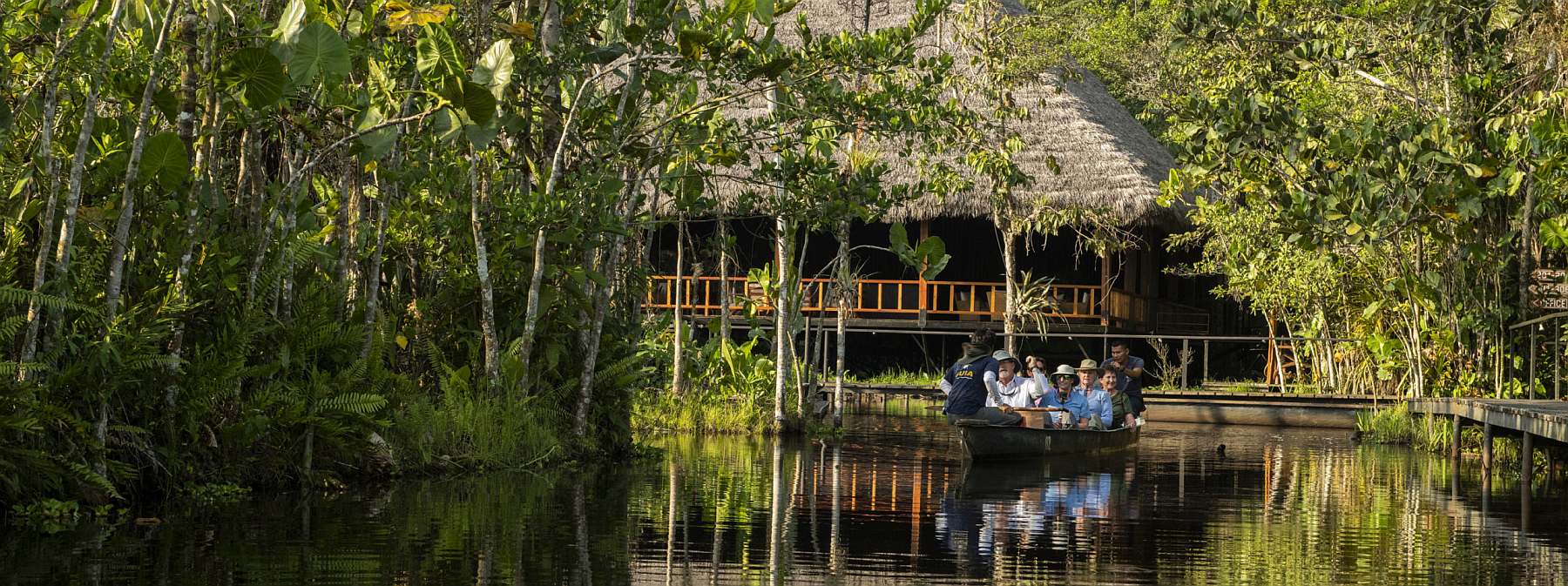 Sacha Lodge - In den Amazonas Dschungel Ecuadors - Leguan Reisen