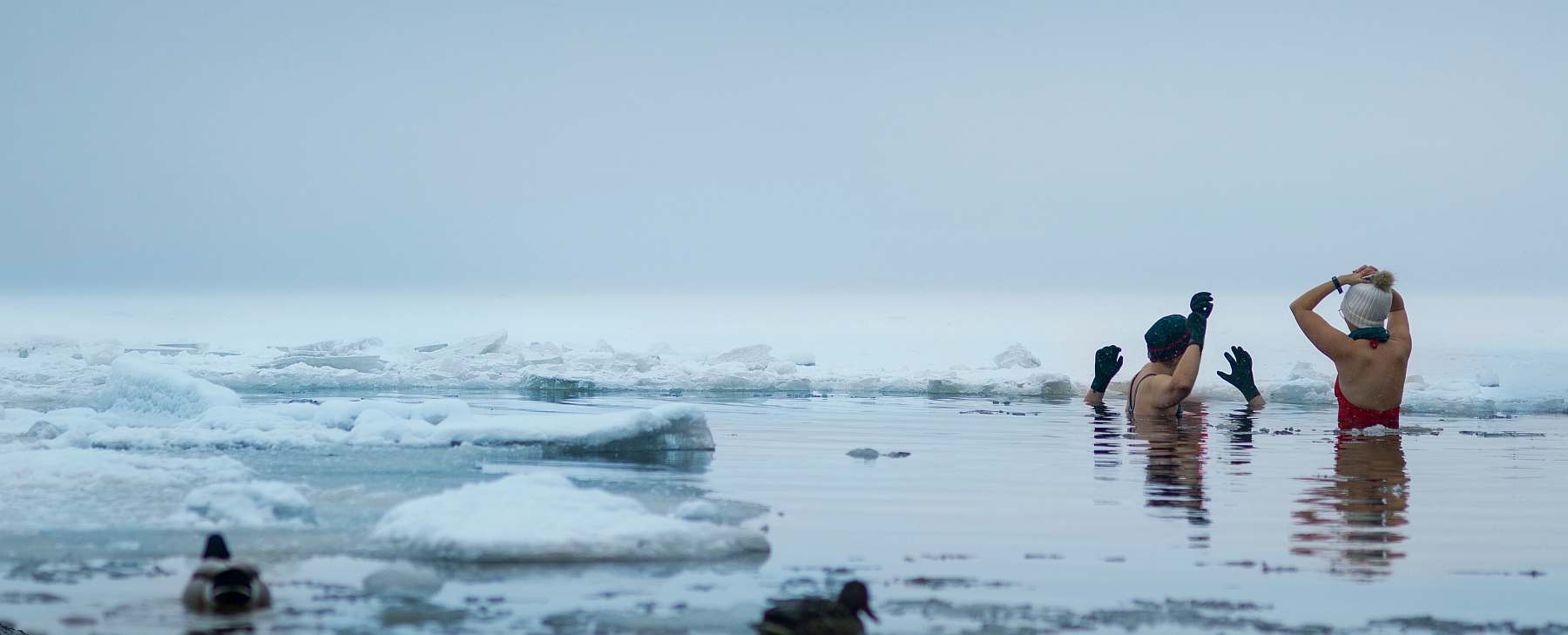 Island - \