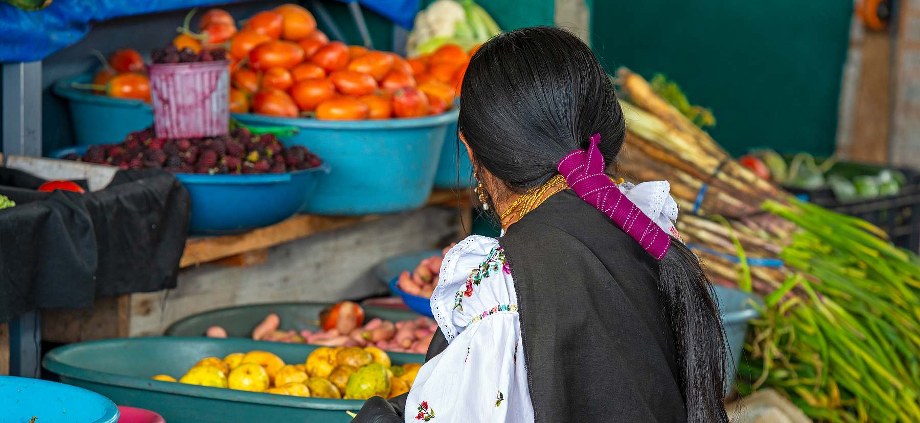 Ecuador-shutterstock_1739985329-slider
