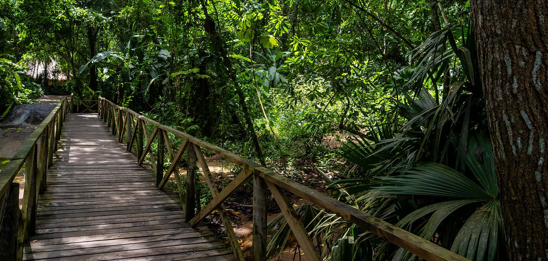 Kolumbien - Ein Fest der Sinne (inklusive 4 Tage Trekking) | 22 Tage Gruppenreise - Leguan Reisen