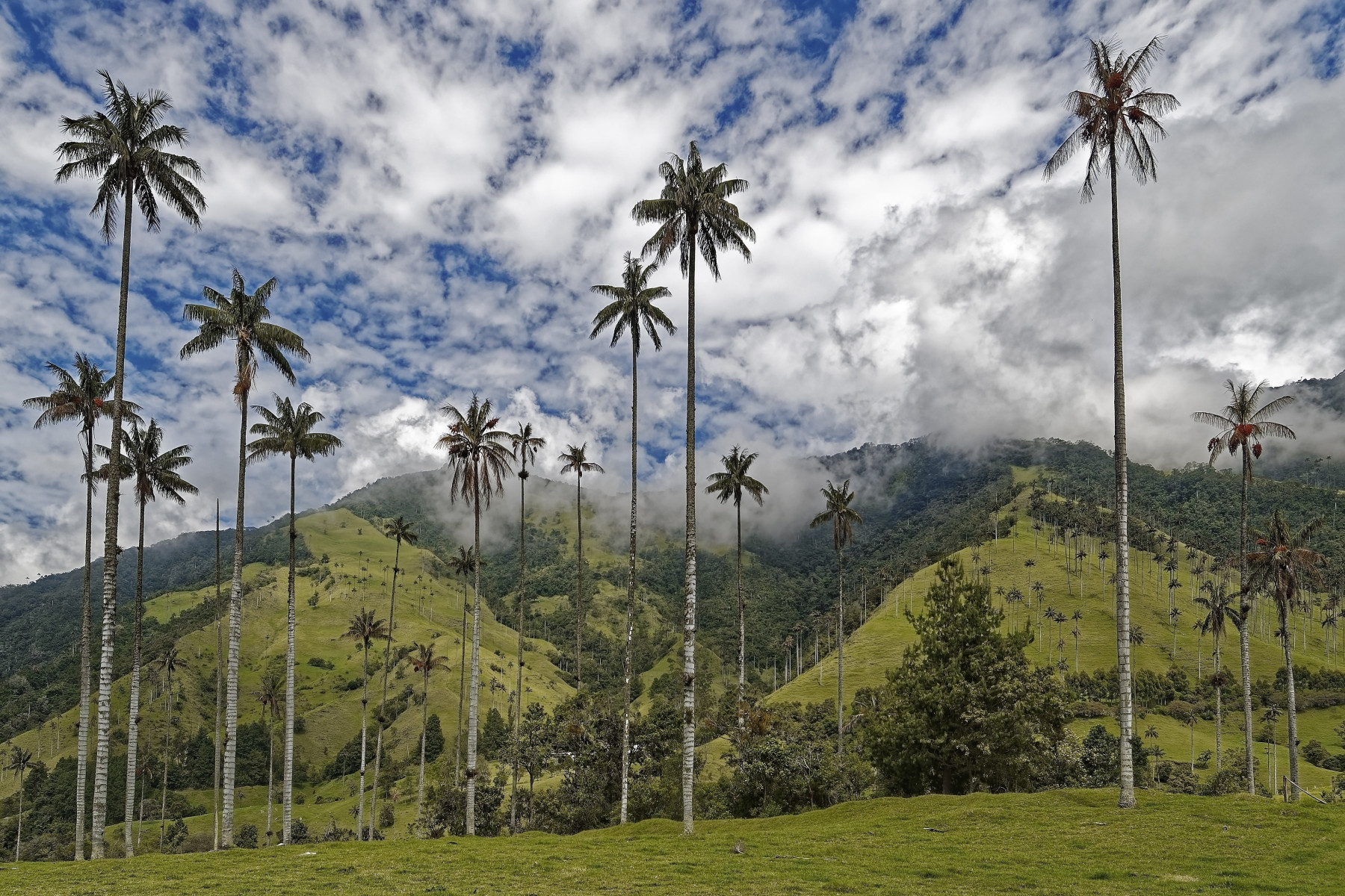 Kolumbien_Kaffeeregion_Cocoratal