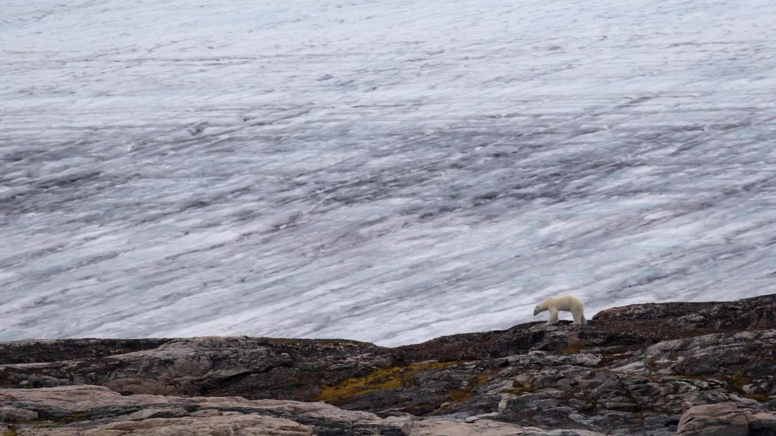 MS STOCKHOLM | Expedition Spitzbergen - Leguan Reisen