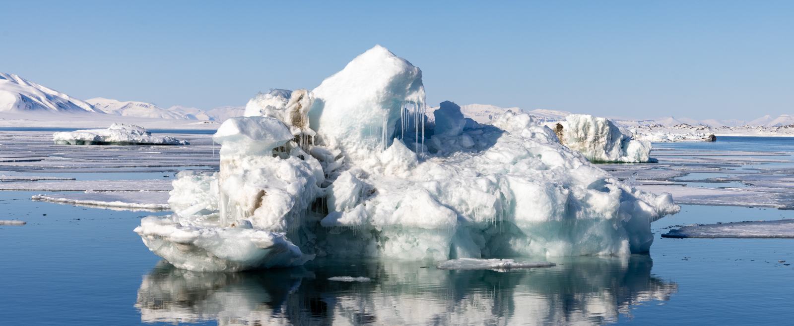 MS EXPEDITION | Im hohen Norden von Spitzbergen zwischen Gletschern, Fjorden und Eisbären - Leguan Reisen