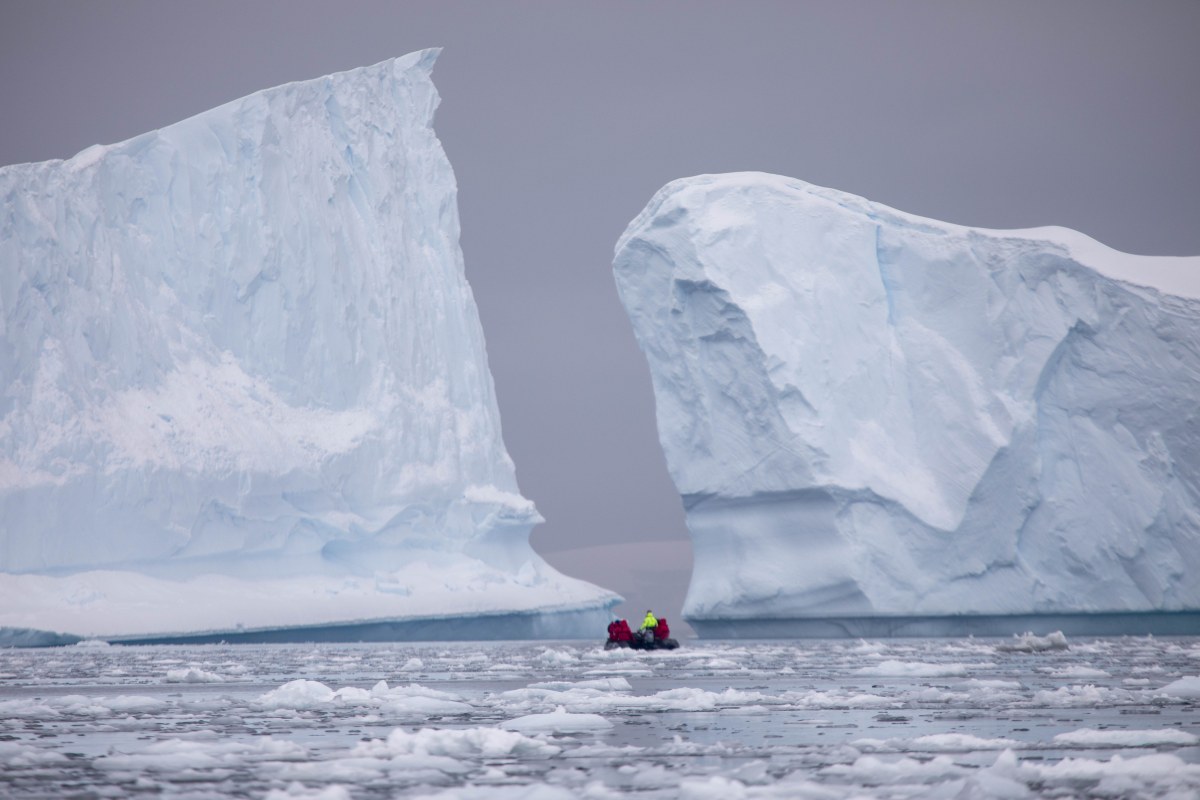 MS EXPEDITION | 