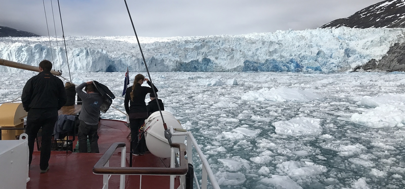DIE EISBERGE DER DISKOBUCHT | CAPE RACE, 2026 & 2027 - Leguan Reisen