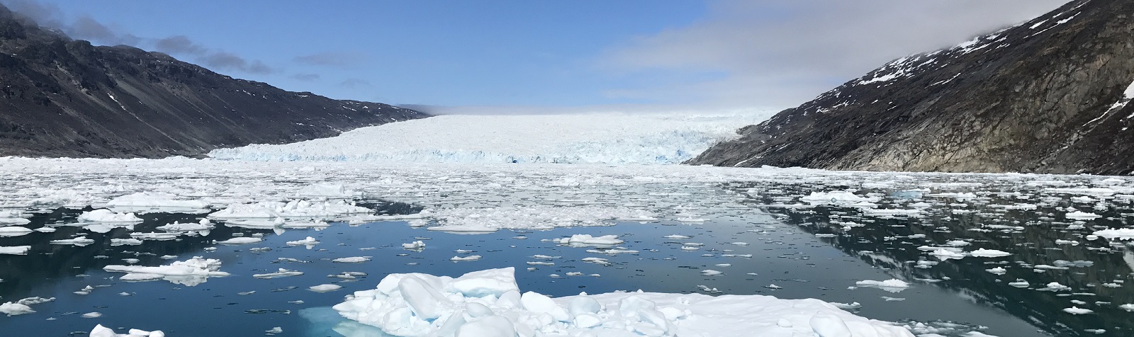 DIE EISBERGE DER DISKOBUCHT | CAPE RACE, 2026 & 2027 - Leguan Reisen