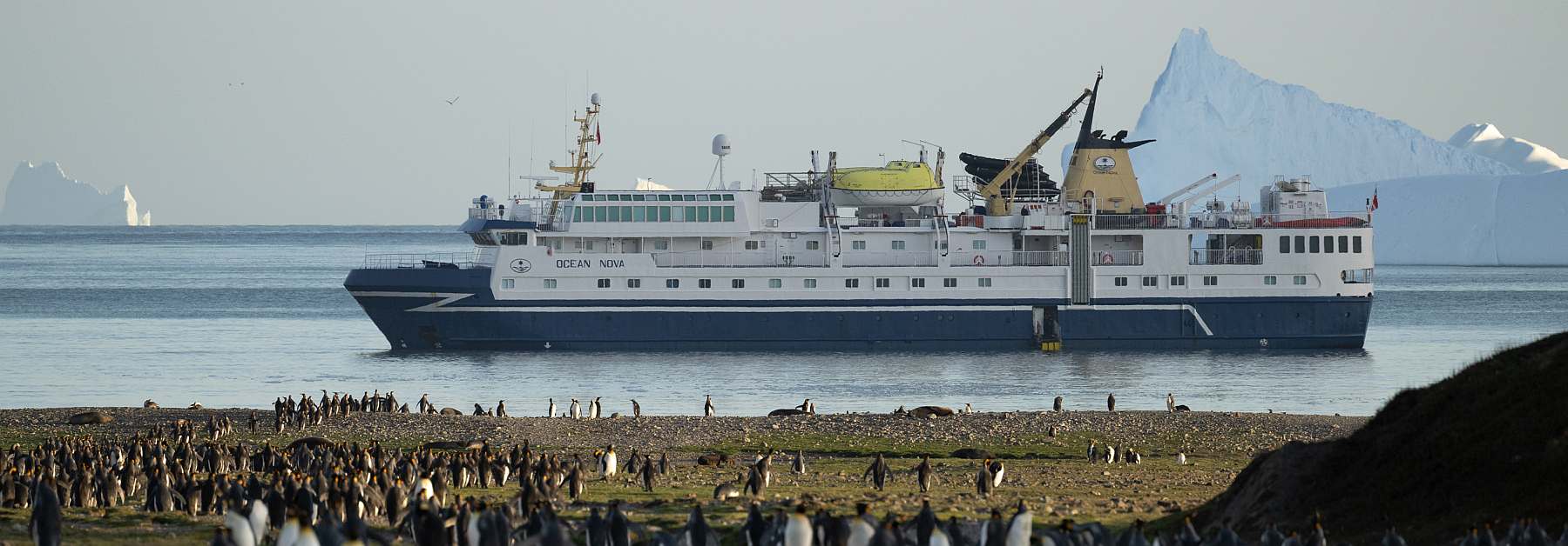 Große Antarktis-Expeditionskreuzfahrt mit Falklandinseln und Südgeorgien | OCEAN NOVA - Leguan Reisen