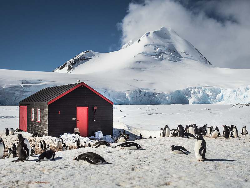 Klassische Antarktis Reise einschließlich Deception-Island | MS HONDIUS - Leguan Reisen