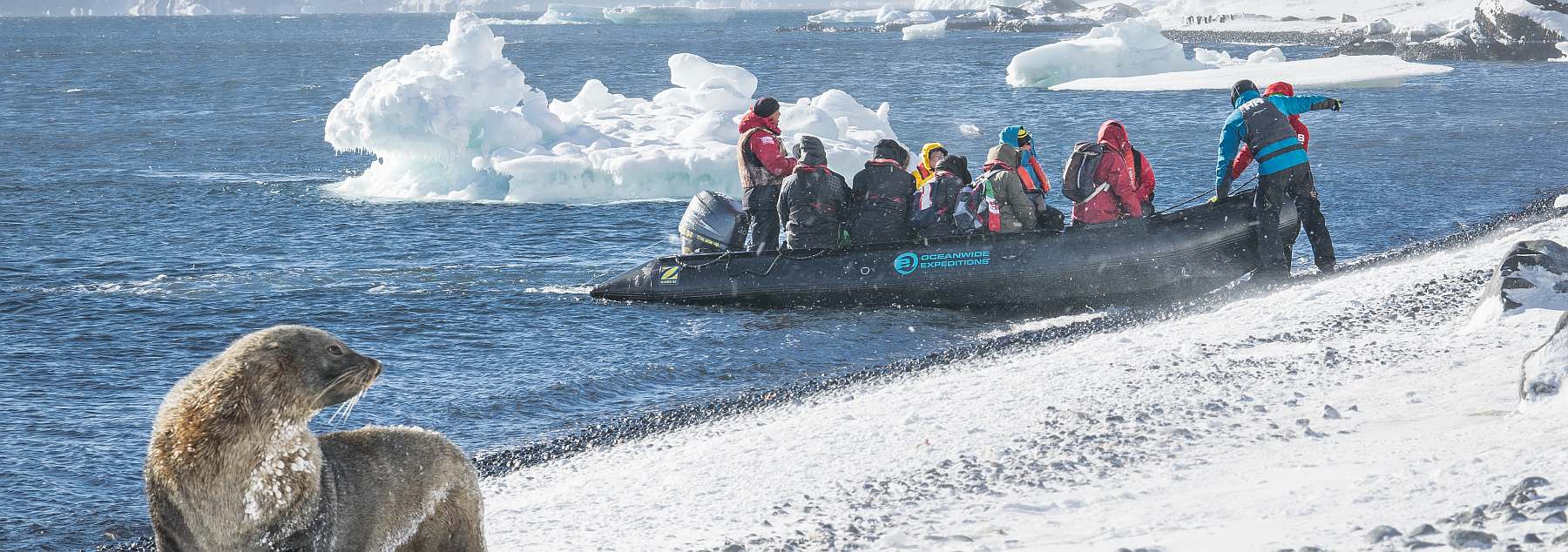 Klassische Antarktis Reise einschließlich Deception-Island | MS HONDIUS - Leguan Reisen