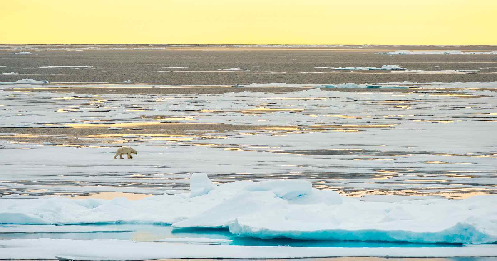 MS HONDIUS | Spitzbergen und Nordaustlandet - Leguan Reisen