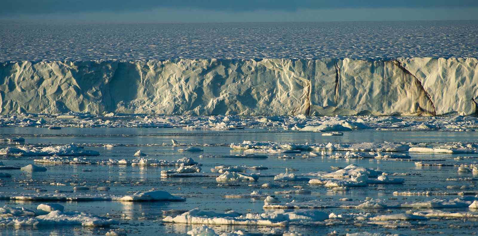 MS HONDIUS | Spitzbergen und Nordaustlandet - Leguan Reisen
