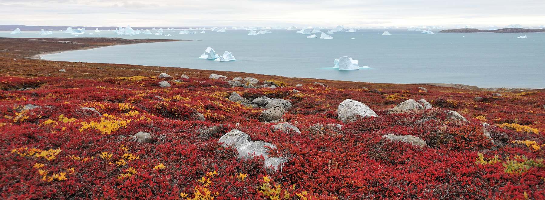 Expedition in den Scoresby Sund, inklusive langer Wanderungen | MS HONDIUS - Leguan Reisen